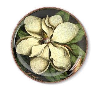 Talerz dekoracyjny Magnolia