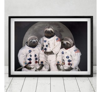 Lenistwo astronautów