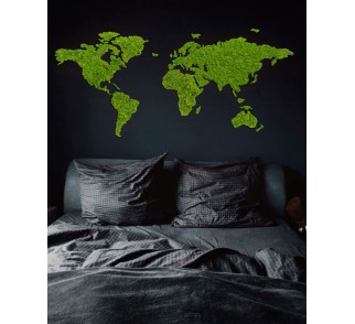 Mapa świata z Mchu Chrobotka Sikorka® Zielona mapa, obraz z mchu