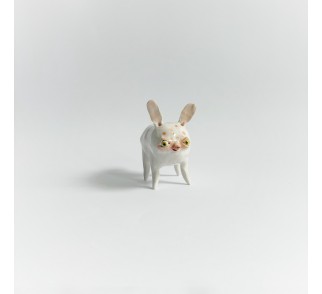 Solniczka Myszoryjek Solniczka Myszoryjek