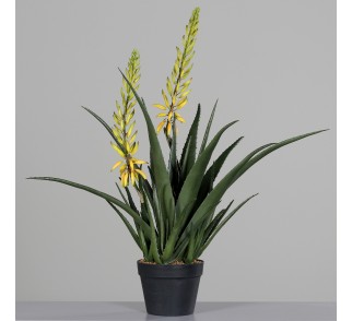 Sztuczna Kompozycja Aloesu Z Dwoma Kwiatami – 80 Cm