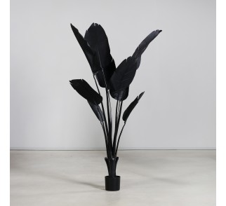 Sztuczna Strelicja W Kolorze Czarnym – 155 Cm