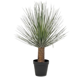 Sztuczna Juka Treculeana – 120 Cm