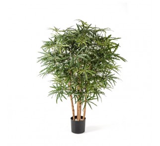 Sztuczne Drzewo Aralia