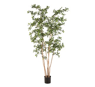 Sztuczne Orientalne Drzewko Czarnej Oliwki 210 Cm