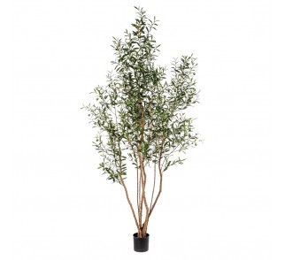 Sztuczne Drzewko Oliwne Na Pniu 220 Cm