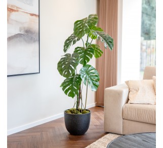 Monstera Sztuczna – Split Philo - 120 Cm