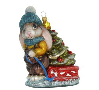 Syn zając Syn zając